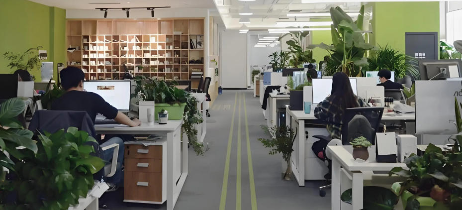 洛阳乐游运通文旅发展有限公司轮播图3