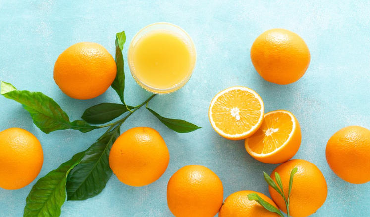 洛阳乐游运通文旅发展有限公司轮播图1