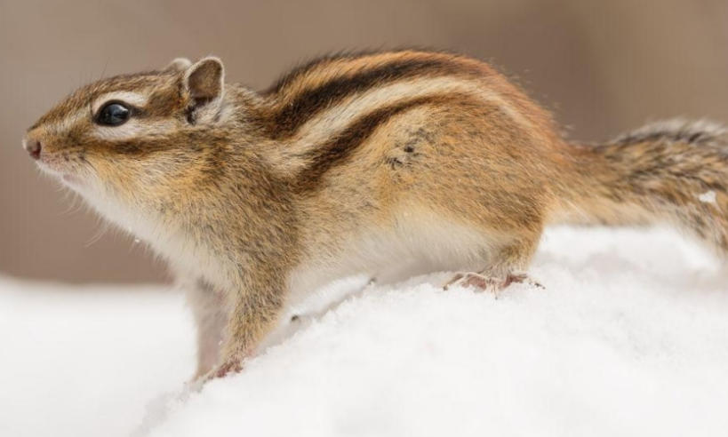 洛阳乐游运通文旅发展有限公司轮播图5