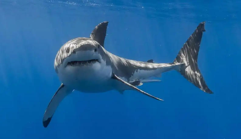 洛阳乐游运通文旅发展有限公司轮播图1