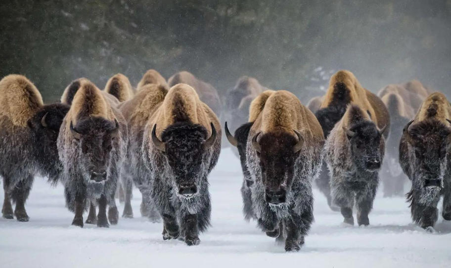 洛阳乐游运通文旅发展有限公司轮播图2